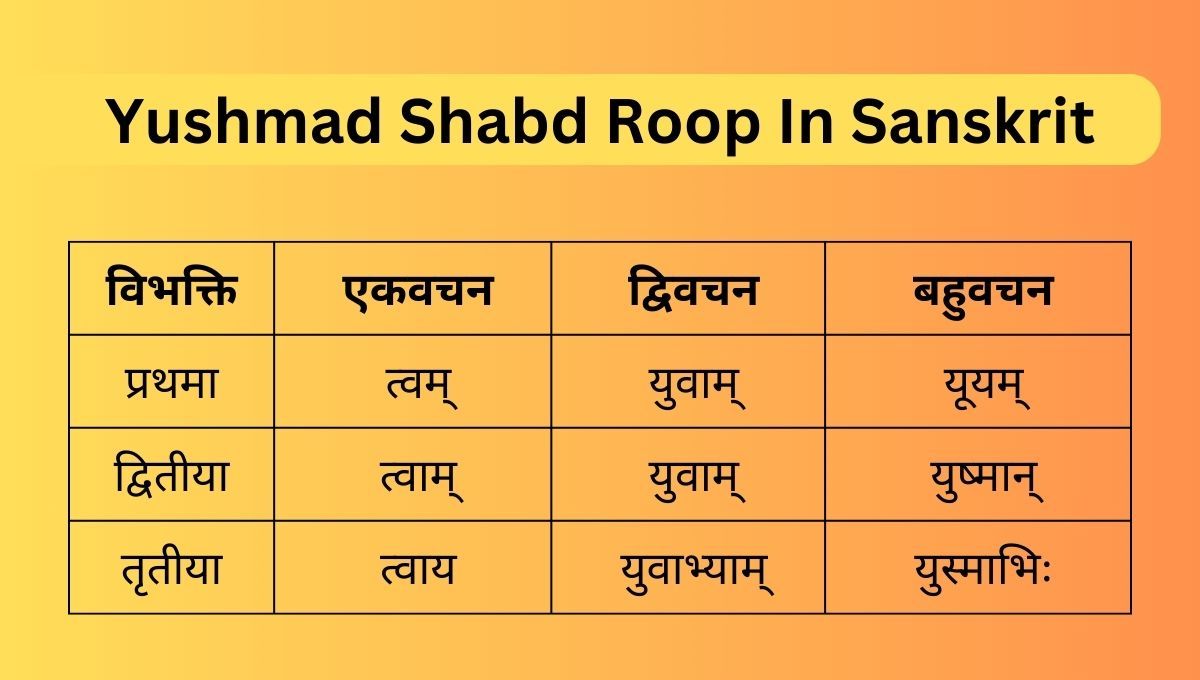 Yushmad Shabd Roop In Sanskrit