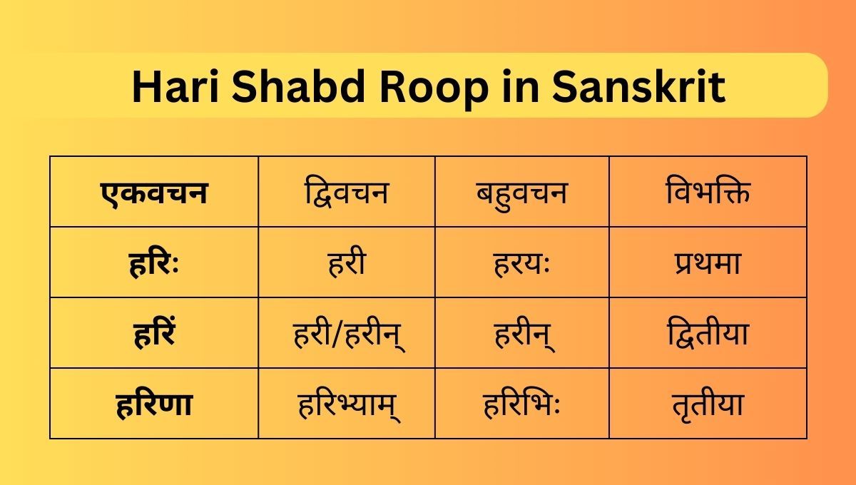 Hari Shabd Roop in Sanskrit - अरे, दोस्त! आज हमने आपके लिए सिर्फ हरि शब्द रूप के बारे में एक लेख लिखा है।
