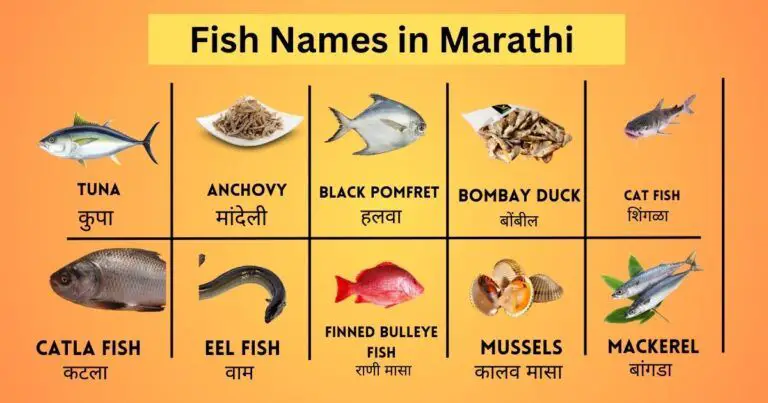 Fish Names in Marathi with images
