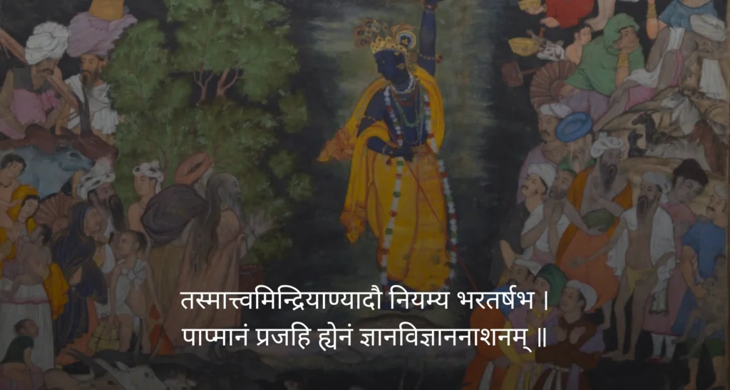 Shree Krishna Quotes in Sanskrit