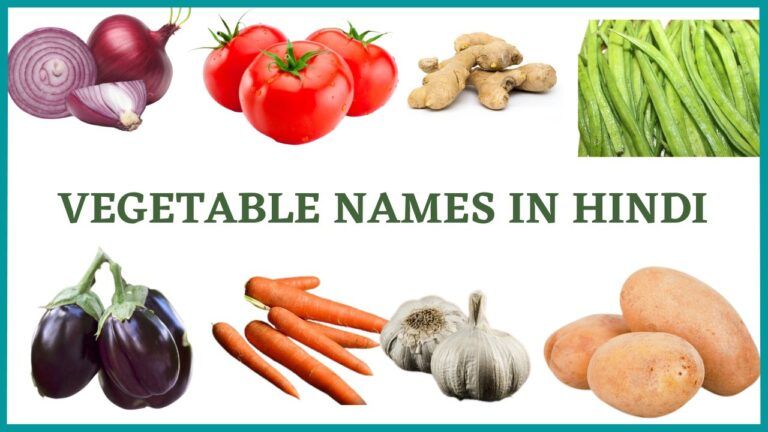 Vegetable Names in Hindi