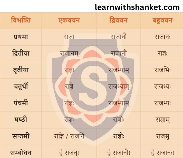 Raja Shabd Roop In Sanskrit