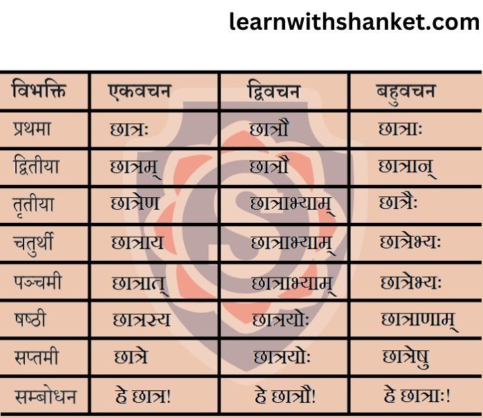 Chatra Shabd Roop In Sanskrit