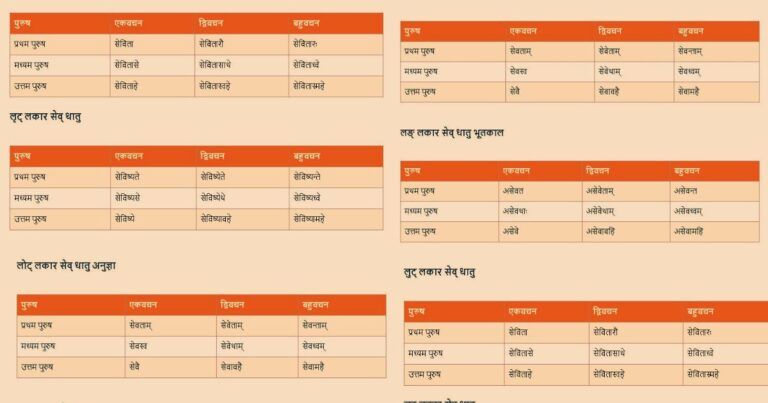 Sev Dhatu roop in Sanskrit