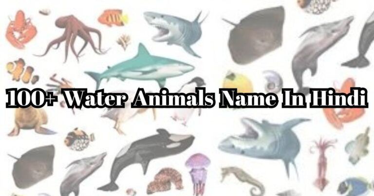 100+ Water Animals Name In Hindi