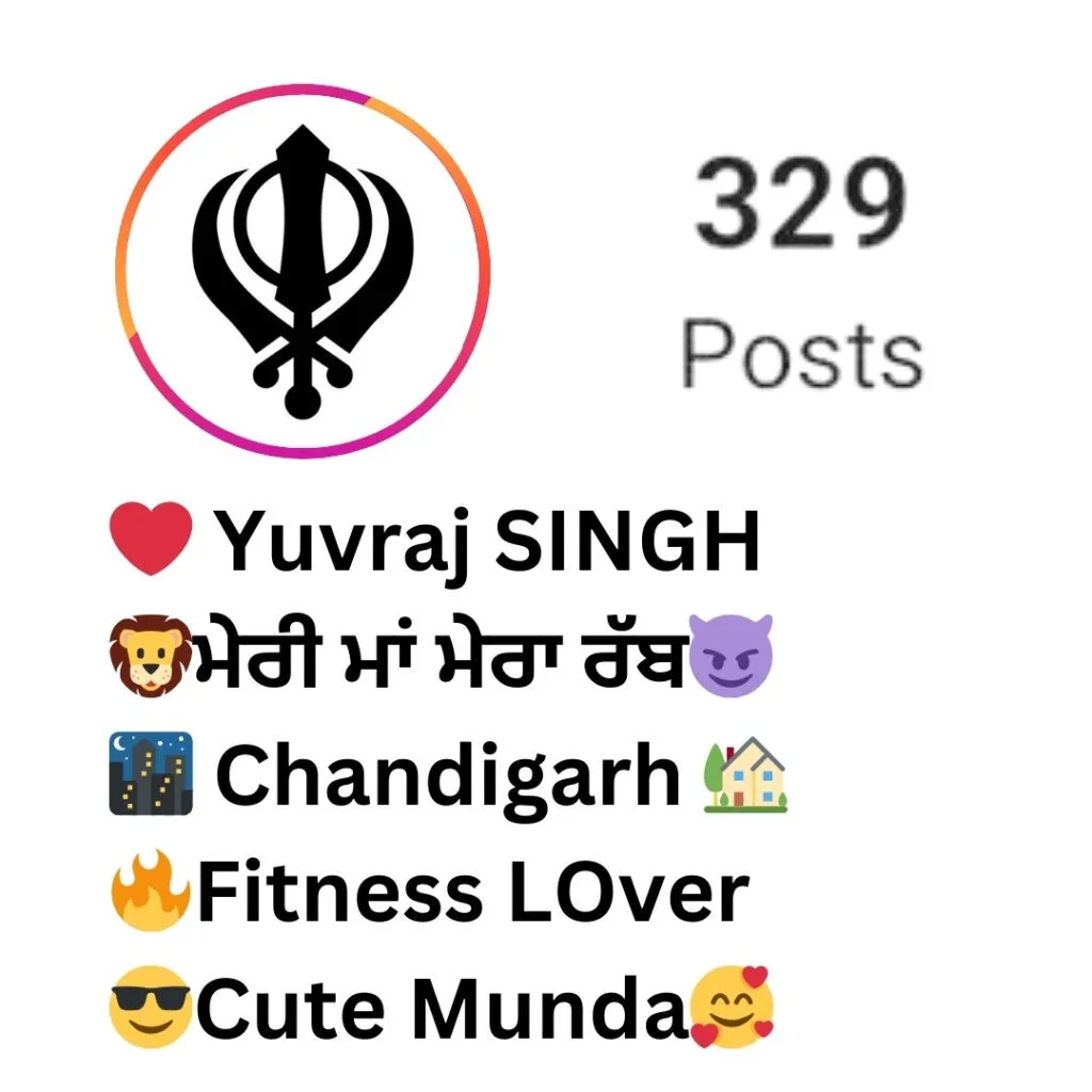 Best 150+ Punjabi Bio For Instagram For Girl