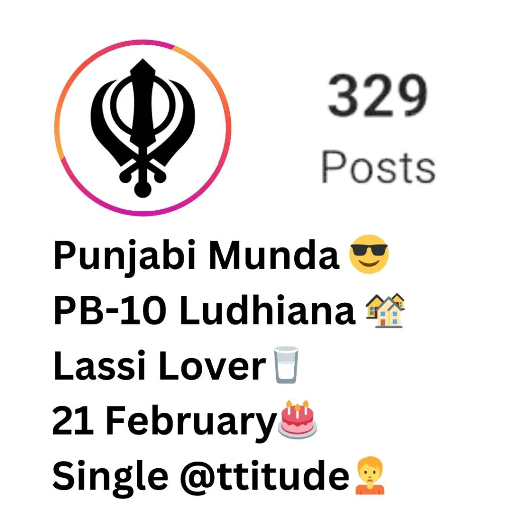 Best 199+ Instagram Bio in Punjabi for Girls