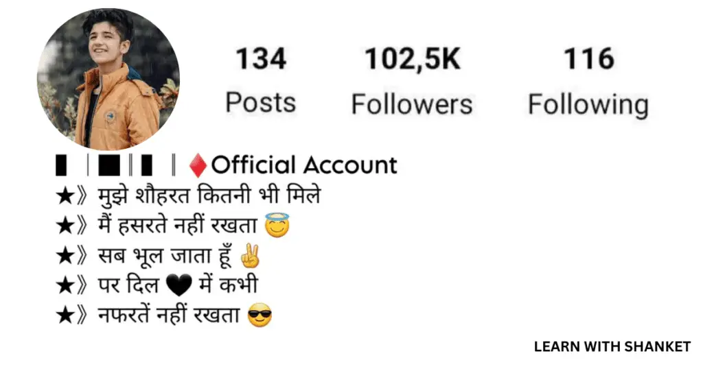 Instagram bio for Shayari Page in Hindi