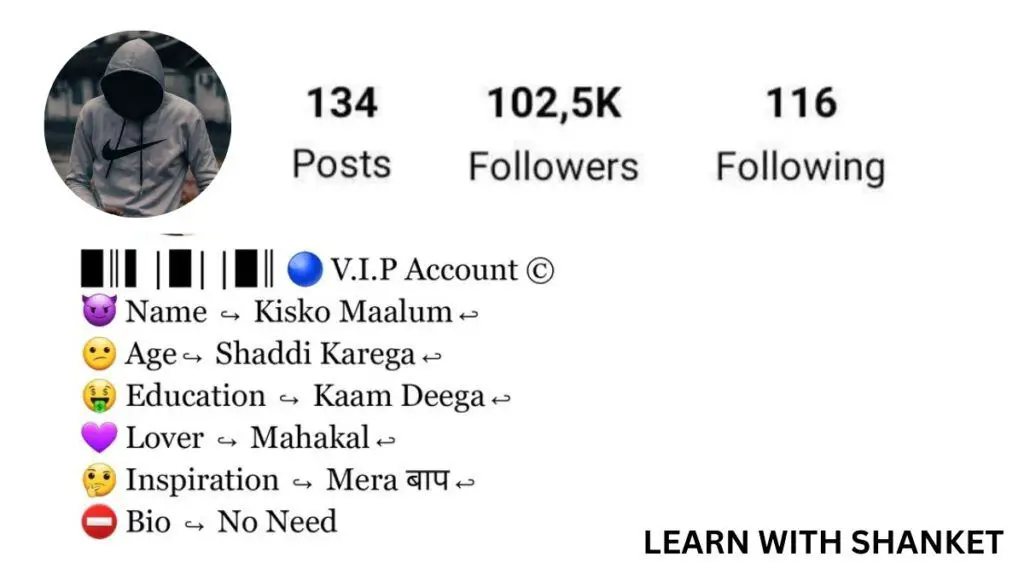 Best 200+ Bio for Instagram for Boy Attitude in Hindi