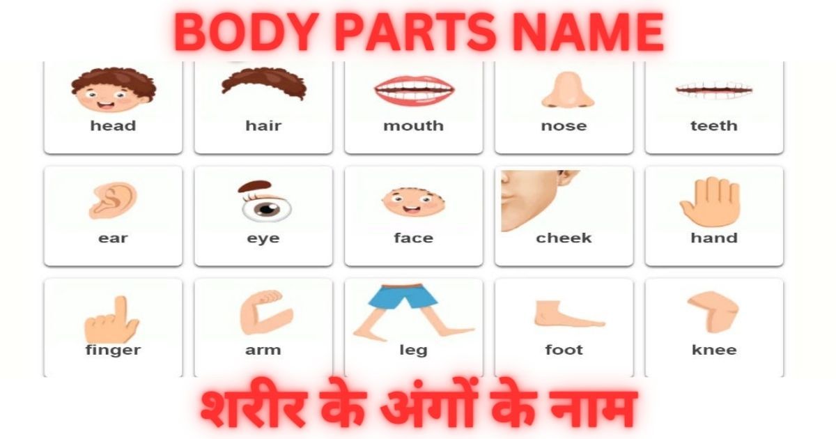 107 Body Parts Name In Hindi And English