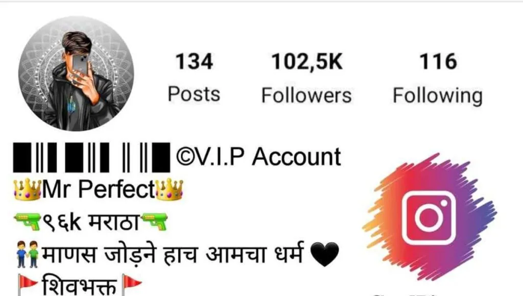bio for instagram marathi