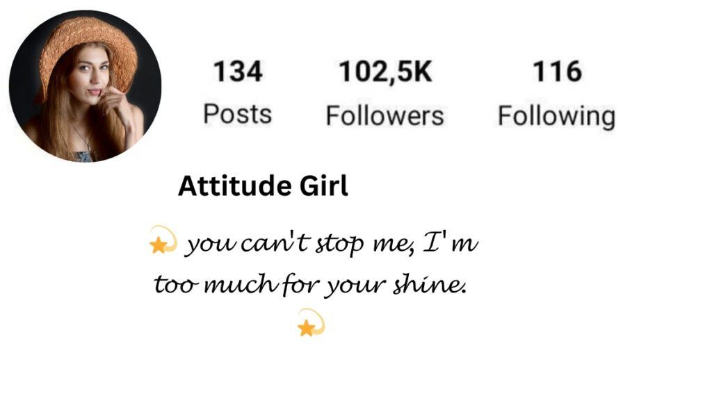 bio for instagram for girl in stylish font