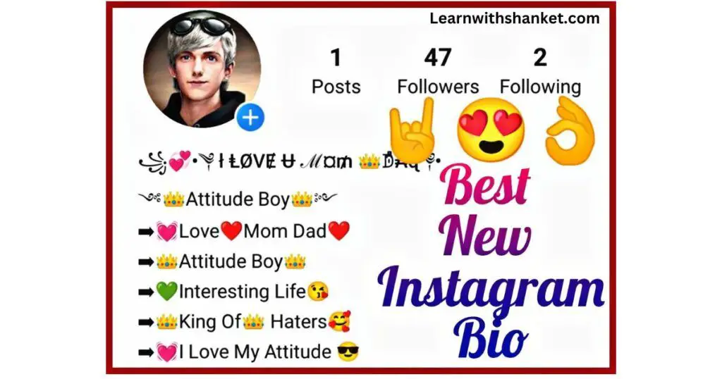 boys attitude bio for instagram
