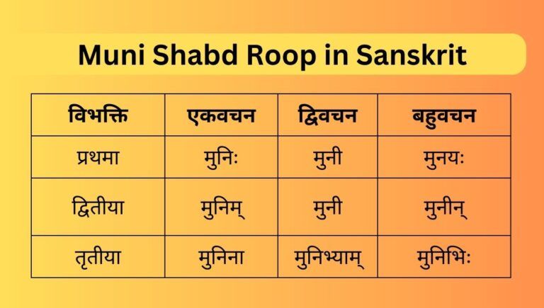 विभक्ति एकवचन द्विवचन बहुवचन प्रथमा मुनिः मुनी मुनयः द्वितीया मुनिम् मुनी मुनीन् तृतीया मुनिना मुनिभ्याम् मुनिभिः