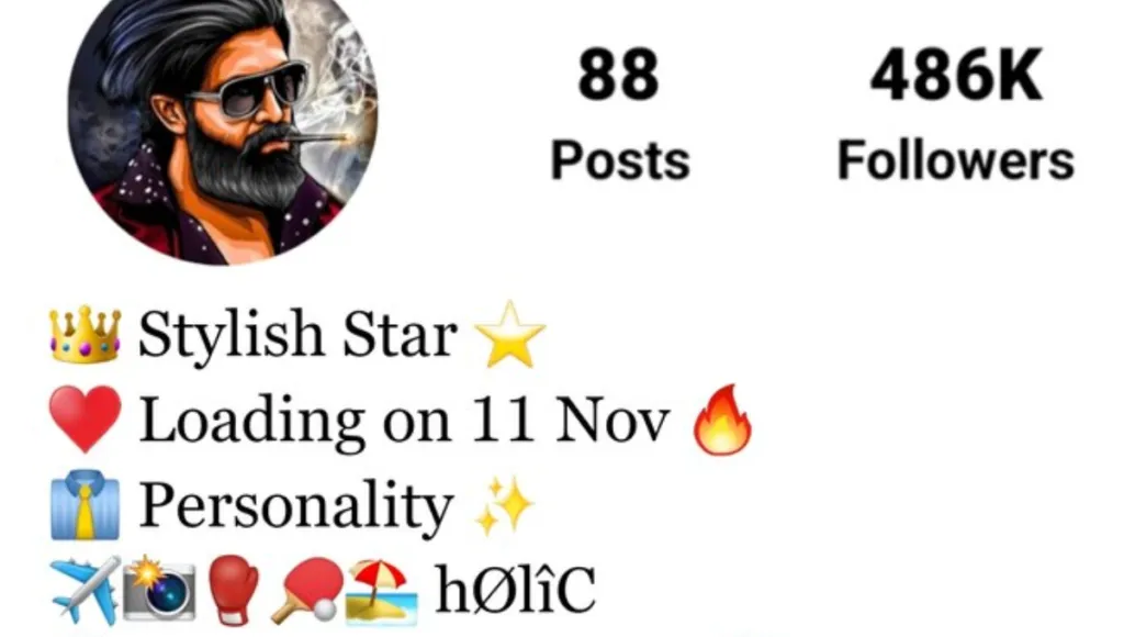 Stylish Bio for Instagram