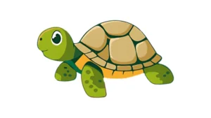 This image is about "Turtle".