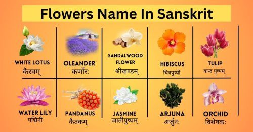 Flowers Name In Sanskrit