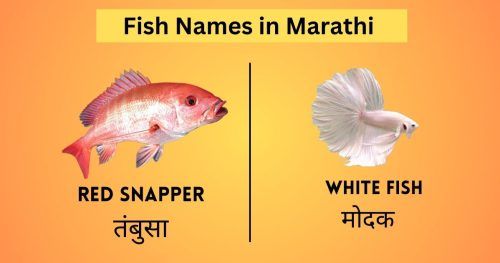 Fish Names in Marathi with images